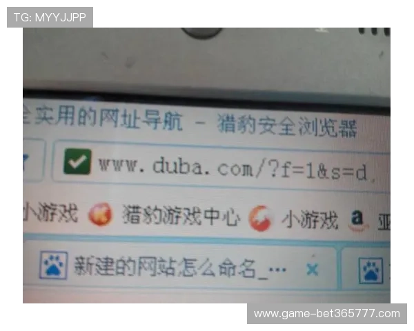 2024年bet365最新网址官方入口推荐，稳定安全的访问方式解析