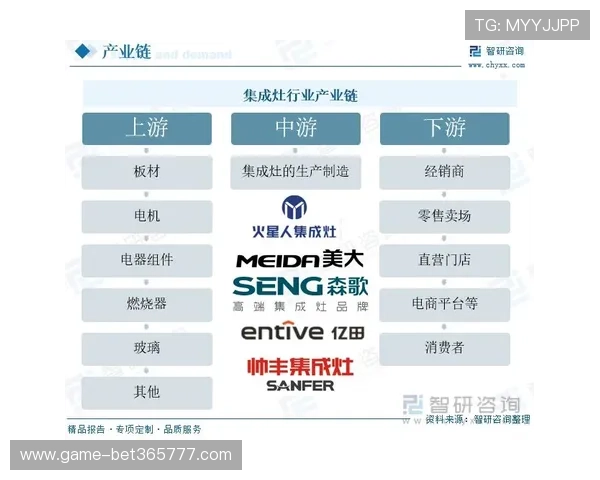 winwin中国官网，探索多样化的产品解决方案满足不同客户需求